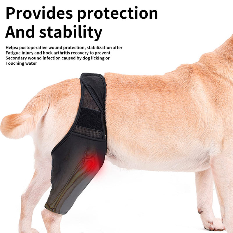 CHUNWILL Elbow Pads for Dogs Post-Operative Suit for Dogs and Cats Original Knee Pads for Dogs for Cruciate Ligament Injuries Dislocated Kneecaps Osteoarthritis（Talla L） - PawsPlanet Australia