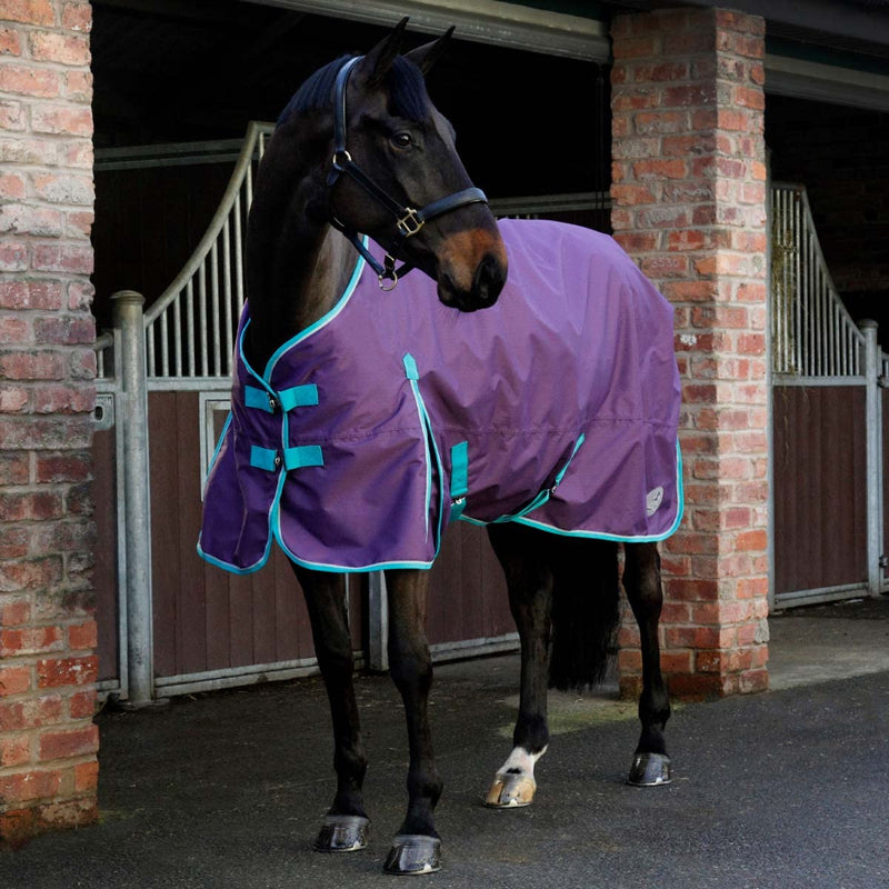 Masta Vento Lightweight Standard Neck No Fill Turnout Horse Rug 4FT6-7FT6 | Breathable Waterproof Equestrian 0g 600D Purple Red 5FT9 - PawsPlanet Australia