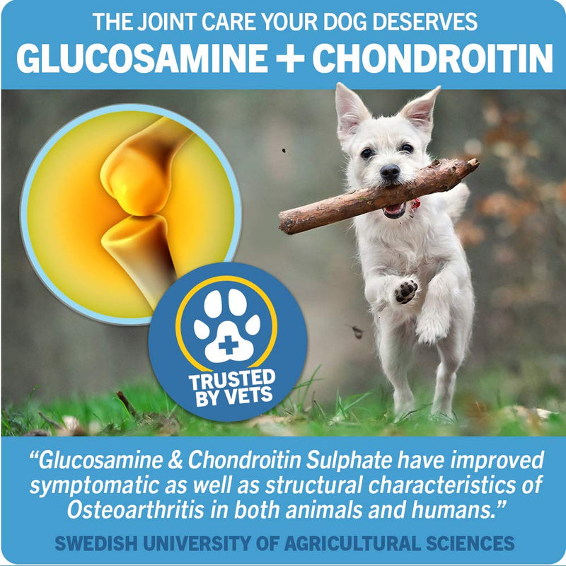 JOINTSURE Glucosamine & Chondroitin Powder for Dogs - 300g Pack, Supports Joint Structure & Maintains Mobility | 100% Pure Natural Powder | Zero Additives & Absorbed Quickly | Scoop Included - PawsPlanet Australia