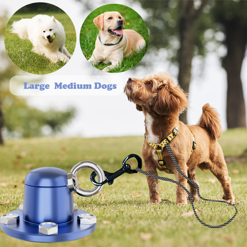 360° Swivel Dog Yard Tie Out Stake, Dog Chain and Steel Stakes for Outside, Tie Down Dog Stake Anchor for Dog Camping Gear Beach Accessories (Blue2) Blue2 - PawsPlanet Australia