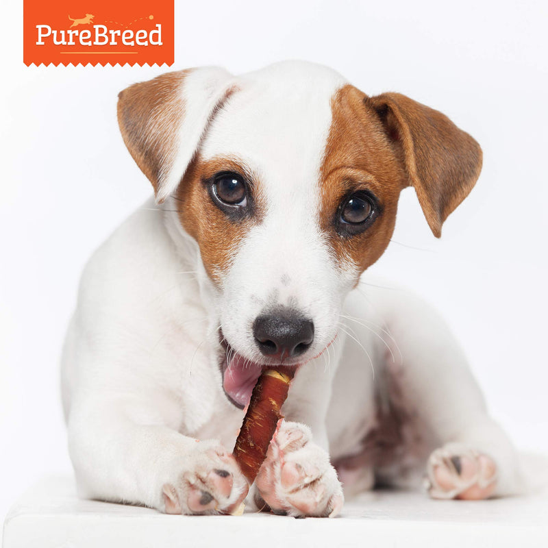 50pk PureBreed Twist Rawhide Sticks Duck Dog Treats | Duck Wrapped Dog Chews Toy | Low Fat, High In Protein Duck Dog Treats & Chews | Duck Rawhide Dog Chew | Chewy Twists with Duck Meat + SOL Notebook - PawsPlanet Australia