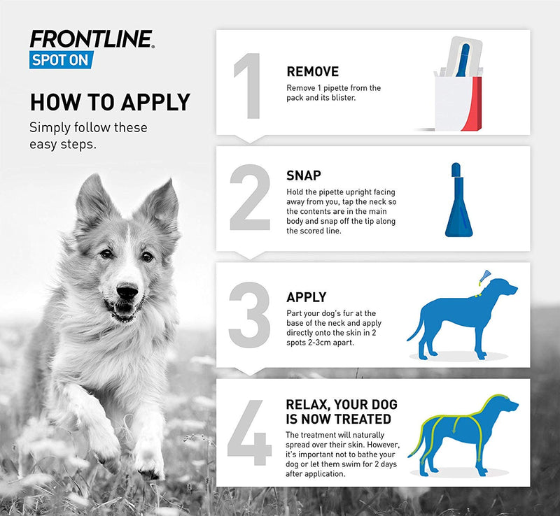 FRONTLINE Spot On Flea & Tick Treatment for Large Dogs (20-40 kg) - 6 Pipettes & Spot On Flea & Tick Treatment for Small Dogs (2-10 kg) - 6 Pipettes - PawsPlanet Australia