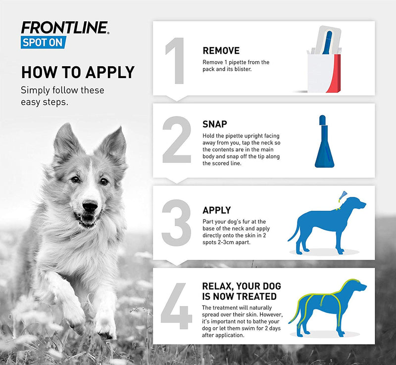 FRONTLINE Spot On Flea & Tick Treatment for Large Dogs (20-40 kg) - 6 Pipettes & Spot On Flea & Tick Treatment for Medium Dogs, Pack of 6 - PawsPlanet Australia