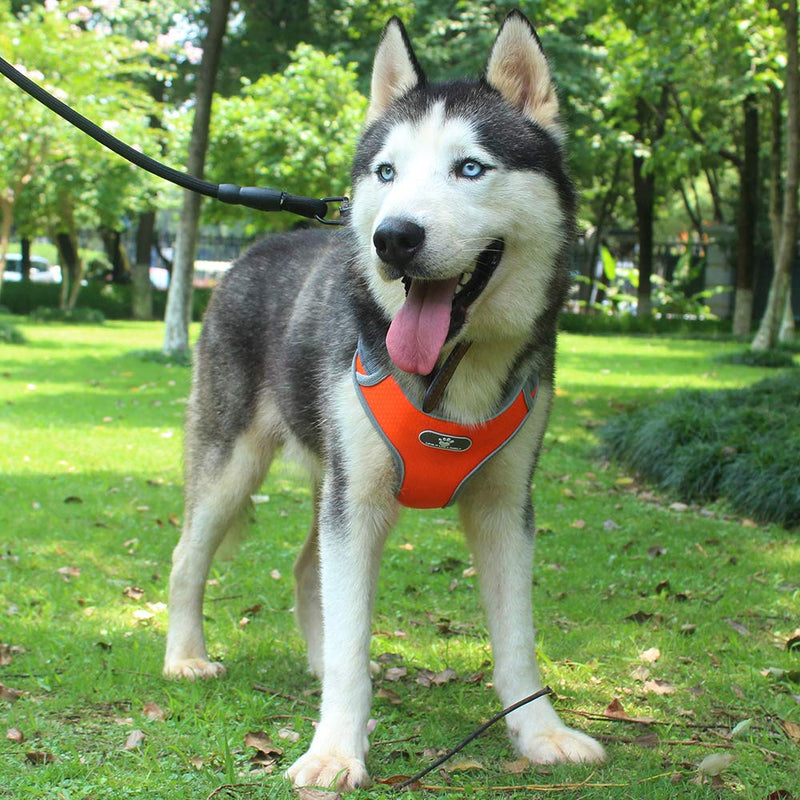 [Australia] - Z ZHIZU Dog Harness No Pull Dog Harness Adjustable Outdoor Dog Vest Soft Dog Harness Front for Dogs Easy Control for Small Medium Large Dogs S Dark Blue 