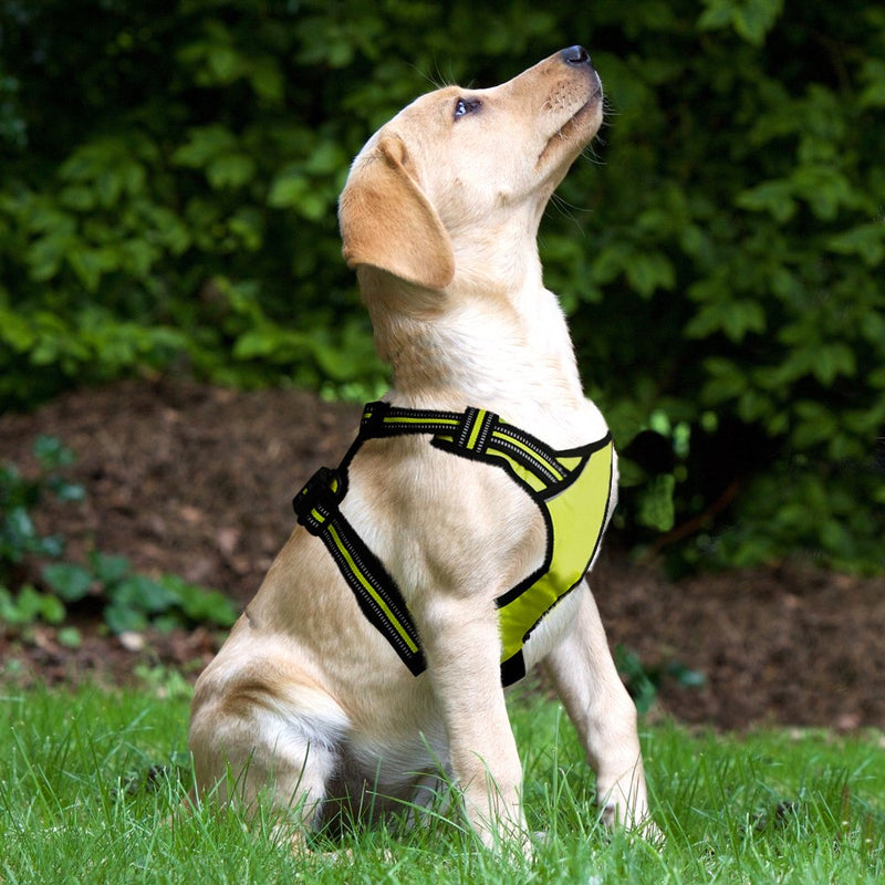 [Australia] - Dog Harness No Pull Pet Harness 3M Reflective Adjustable Outdoor Pet Vest Harness Handle Small Medium Large Dogs Training M Green 