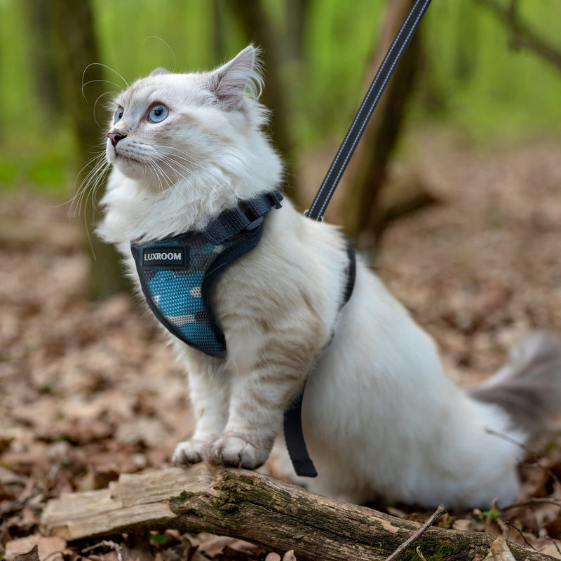 LuxRoom Cat Leash and Harness Set for Walking, Adjustable Breathable Kitten Harness and Leash with Safety Reflective Strap Blue Camo XS - PawsPlanet Australia