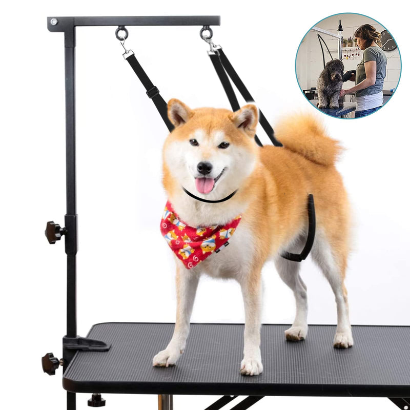 Pack of 3 Dog Grooming Belly Belt Band, Adjustable D-Ring Dog Belt, for Hair Cleaning, Bathing and Grooming of Puppies and Kittens Nylon - PawsPlanet Australia
