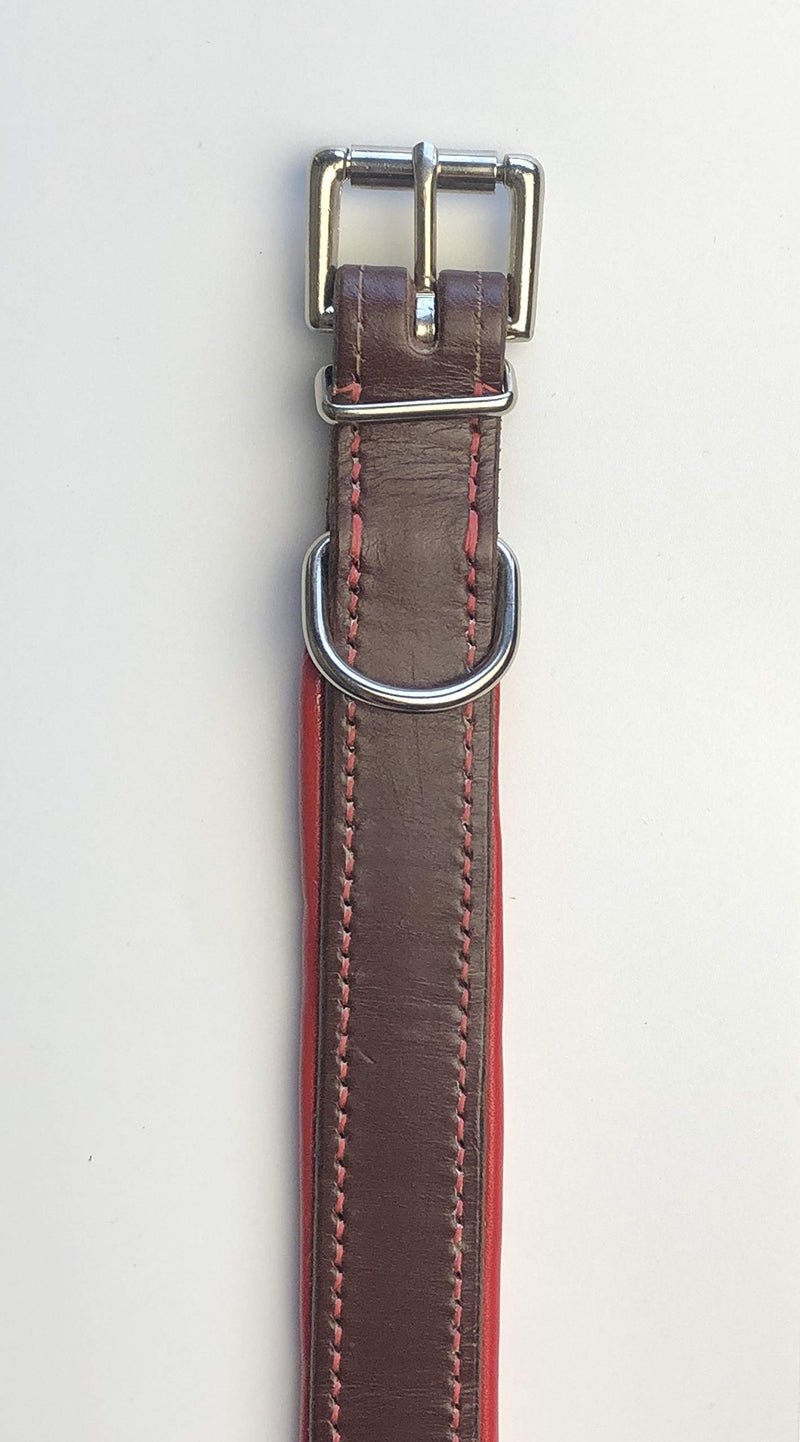 ITALIAN BRIDLE LEATHER PADDED DOG COLLAR IN AUSTRALIAN NUT (MAHOGANY BROWN) WITH RED LEATHER PADDING LARGE 19"-23" 48CM-58CM WITH CHROME ACCESSORIES - PawsPlanet Australia