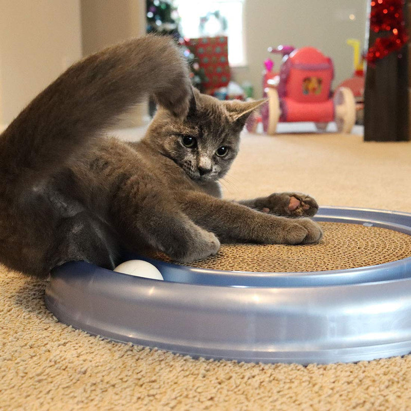 [Australia] - Bergan Turbo Scratcher Replacement Pads, 2 Pack 