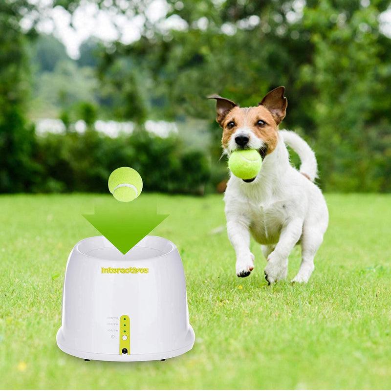 ALL FOR PAWS Dog Interactive Dog Automatic Ball Launcher, Tennis Ball Throwing Machine For Small and Medium Size Dog Training, 3 Balls Included, Mini Version… Hyper Fetch Mini - PawsPlanet Australia