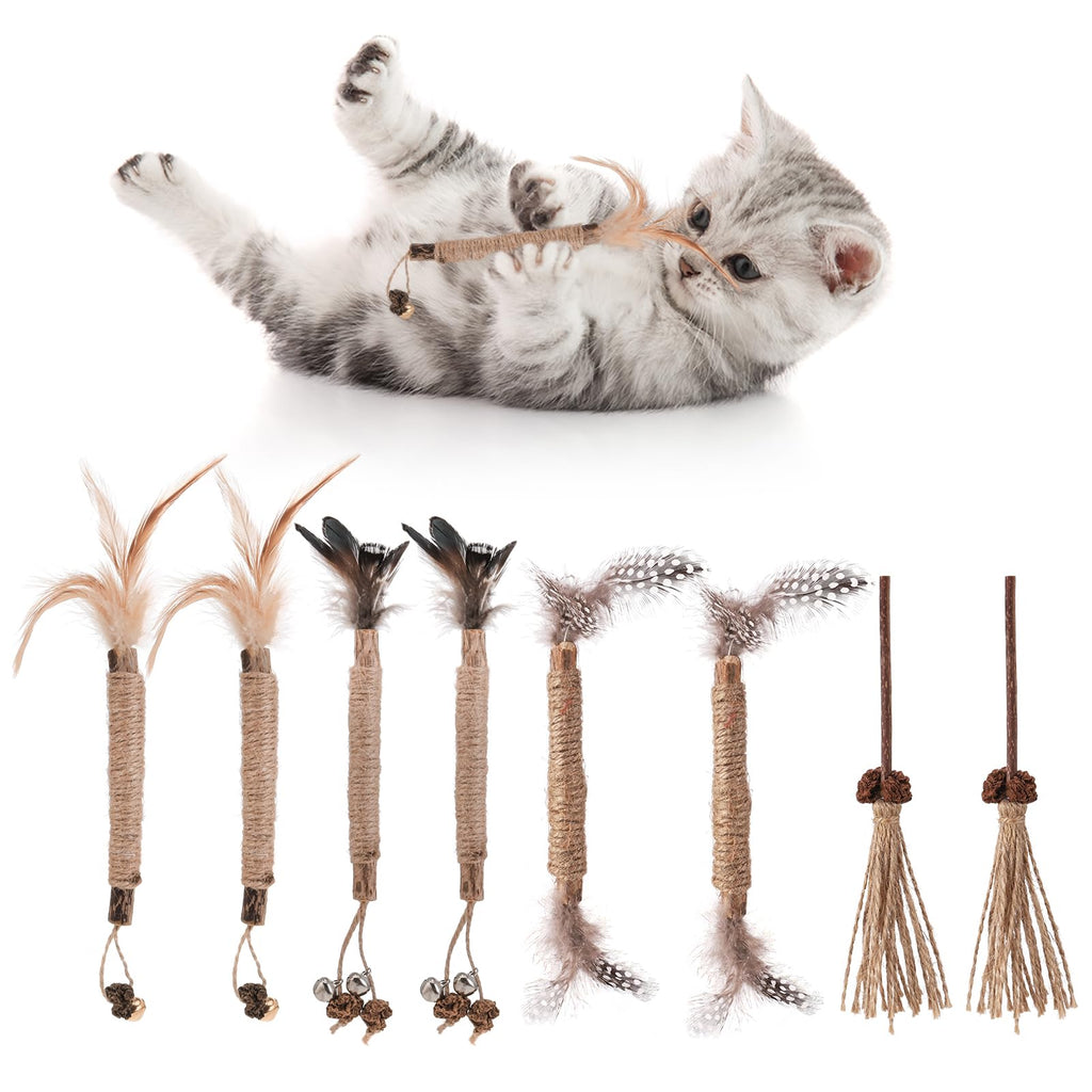 FANTESI Pack of 8 catnip sticks, chewing sticks for cats, cat toys for cleaning cats' teeth, catnip sticks for indoor use for cats, refreshing kitten breath - PawsPlanet Australia