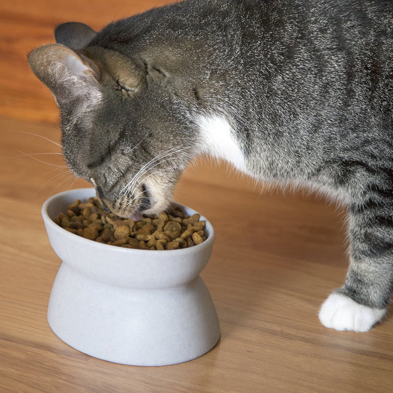 Kitty City Raised Cat Food Bowl Collection, Stress Free Pet Feeder and Waterer 2 Bowls/Modern - PawsPlanet Australia