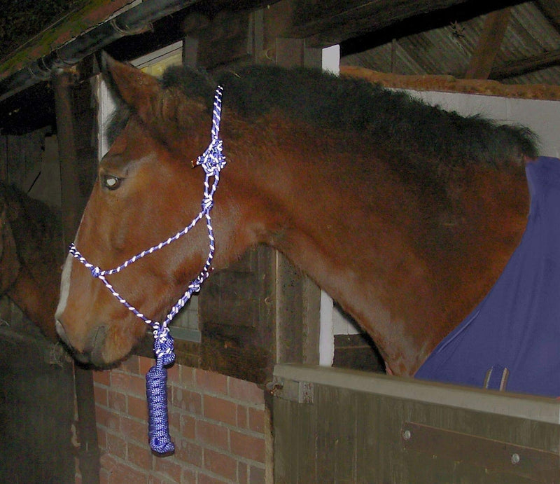 Gee Tac Hi Viz Natural Horsemanship Rope Halter Head Collar BLUE - PawsPlanet Australia
