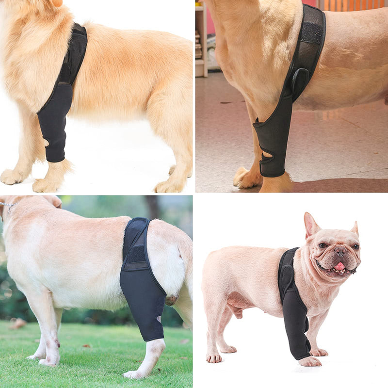 CHUNWILL Elbow Pads for Dogs Post-Operative Suit for Dogs and Cats Original Knee Pads for Dogs for Cruciate Ligament Injuries Dislocated Kneecaps Osteoarthritis（Talla L） - PawsPlanet Australia