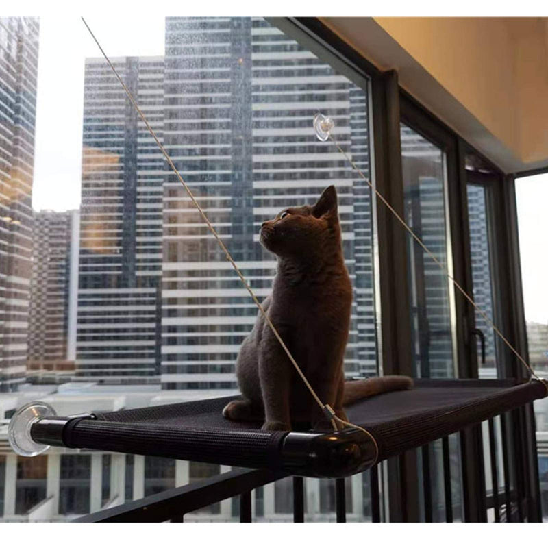 3MNSCD Cat Hammocks for Window - Seat Suction Cups Space Saving Cat Bed, Pet Resting Seat Safety Cat Window Perch for Large Cats Window Perch All Around 360° Weighted up to 55 lbs - PawsPlanet Australia