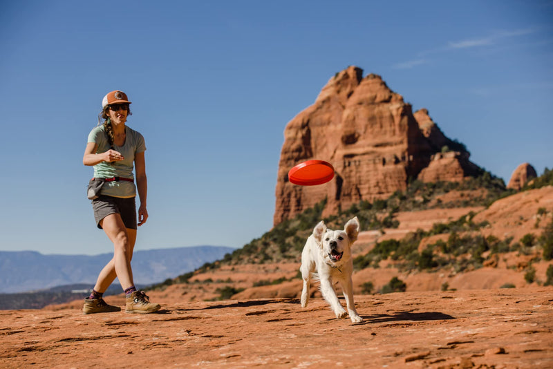 RUFFWEAR Camp Flyer Dog Toy, 2-in-1 Flexible & Puncture-Resistant Throw Catch Flying Disc and Bowl for Pets, Outdoor Long Distance Game Designed Specially for Dogs, Waterproof & Safe, Lichen Green - PawsPlanet Australia