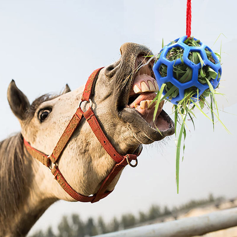 2pcs Horse Treat Ball Hay Feeder Toy Ball Hanging Feeding Toy for Horse Horse Goat Sheep Relieve Stress, Horse Stable Stall Paddock Rest Blue - PawsPlanet Australia