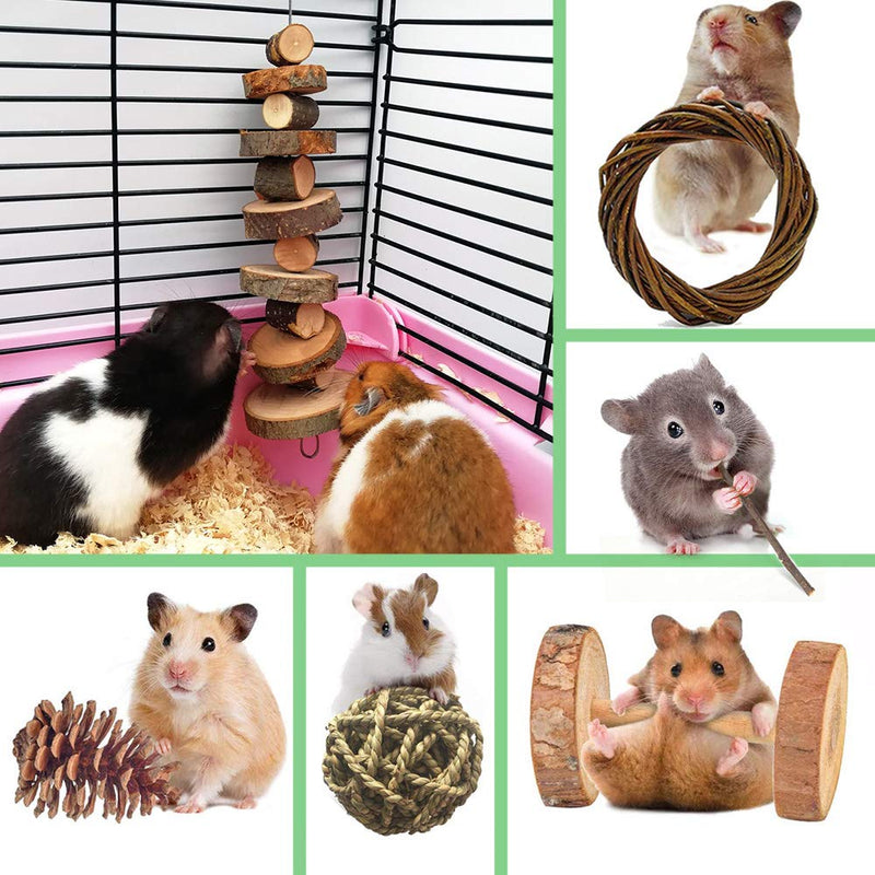 Goter Pack of 10 Small Animal Combination Apple Wood Activity Toy Hamster Chew Toy Rat Chinchilla Snacks Toy for Pets Organic Natural Accessories - PawsPlanet Australia