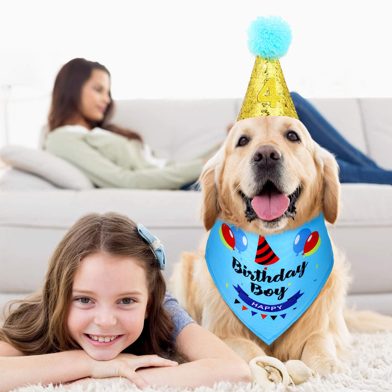 Ratar Dog Birthday Party Supplies Set Include 2 Pieces Dog Birthday Bandanas 2 Pieces Boy Girl Puppy Birthday Hats and 10 Pieces 0-8 Number Birthday Outfit for Small Medium Dog Pet (M, Blue, Pink, M) - PawsPlanet Australia