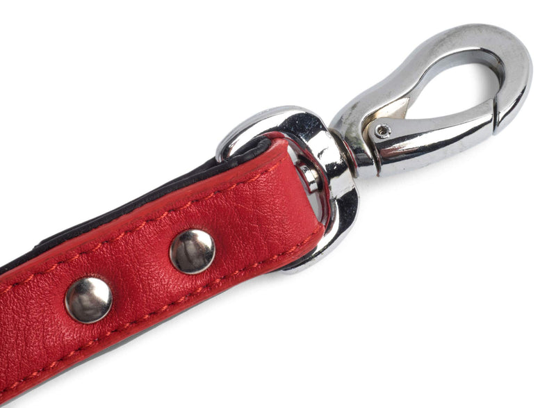 Petface Bones Dog Lead, Small, Red - PawsPlanet Australia