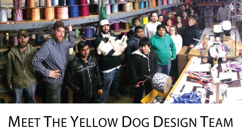 [Australia] - Yellow Dog Design Odorproof & Waterproof Adjustable Dog Collar 3/4"W x 20"L New Pink Polka Dot 