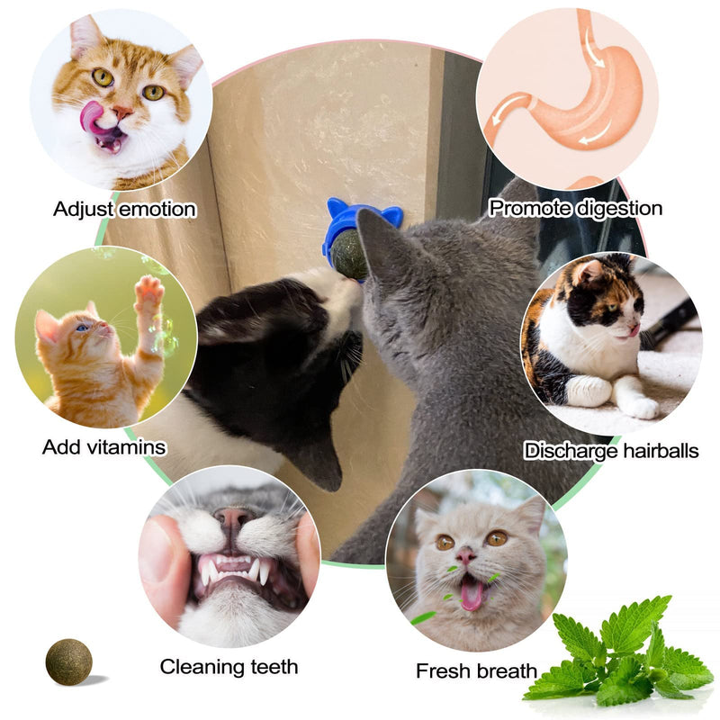 JULY BRISE Improved sweet catnip balls, 360° rotating cat licking catnip toy, catnip ball with powerful stickers, healthy and fun cat gift, cat shape, 3 pieces - PawsPlanet Australia