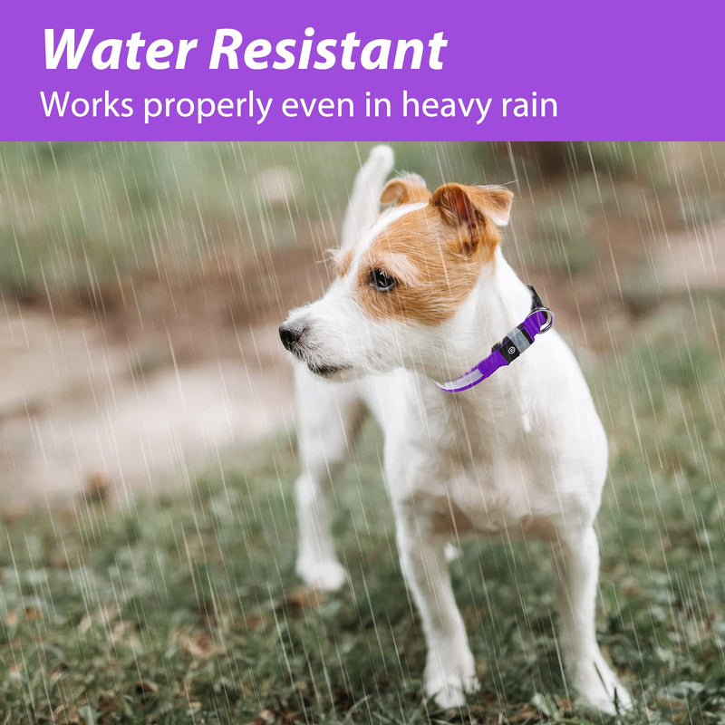 Light Up Dog Collar Rechargeable USB-C, LED Collar for Dogs Waterproof Dog Collar Luminous 7 Colors Flashing Light Adjustable Lightweight Collar Dogs for Small Medium Large Dogs, Purple SS(28-40cm/11-15.7inch) - PawsPlanet Australia