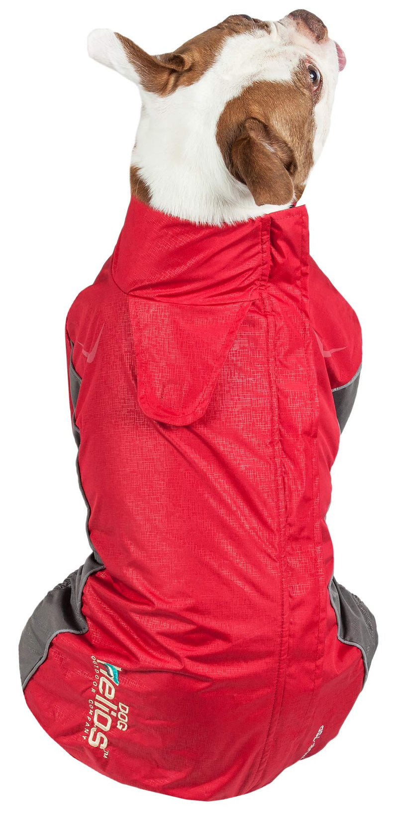 DOGHELIOS 'Blizzard' Full-Bodied Comfort-Fitted Adjustable and 3M Reflective Winter Insulated Pet Dog Coat Jacket w/ Blackshark Technology, X-Small, Cola Red - PawsPlanet Australia