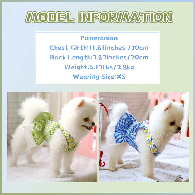 DOGGYZSTYLE 2 Pack Summer Dog Dresses Girl Puppy Cat Plaid Princess Dress Party Birthday Pet Vest Clothes for Small Medium Dogs X-Small Blue+Green - PawsPlanet Australia