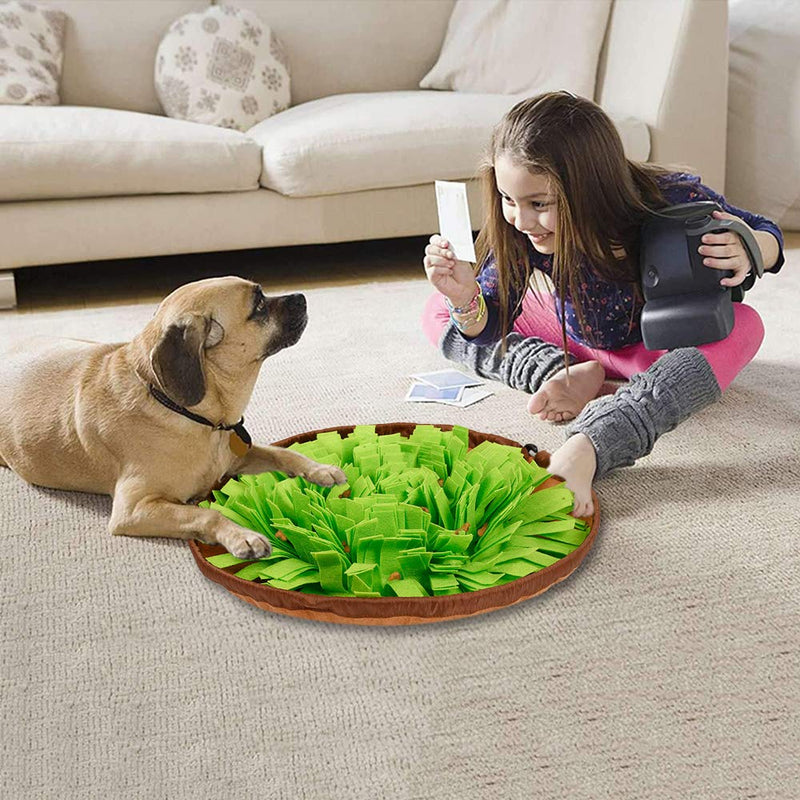 Snuffle Mat for Dogs, Dog Activity Mat Sniffing Mat Dog Feeding Mat/Enrichment Mat/Play Mat/Puzzle Mat/Interactive Toy/Sniffing Pad/Snuffle Blanket/Sniffing Training Mat Slow Feeding Bowl for Dog Pet Green - PawsPlanet Australia