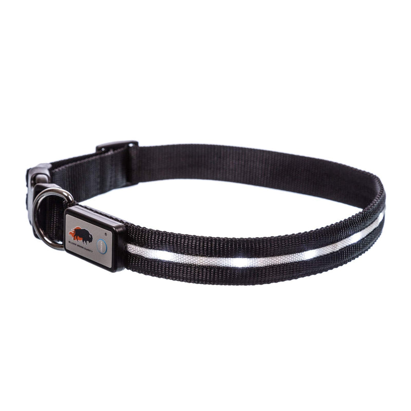 Blazin' Safety LED Dog Collar – USB Rechargeable with Water Resistant Flashing Light X-Small (Pack of 1) Black - PawsPlanet Australia