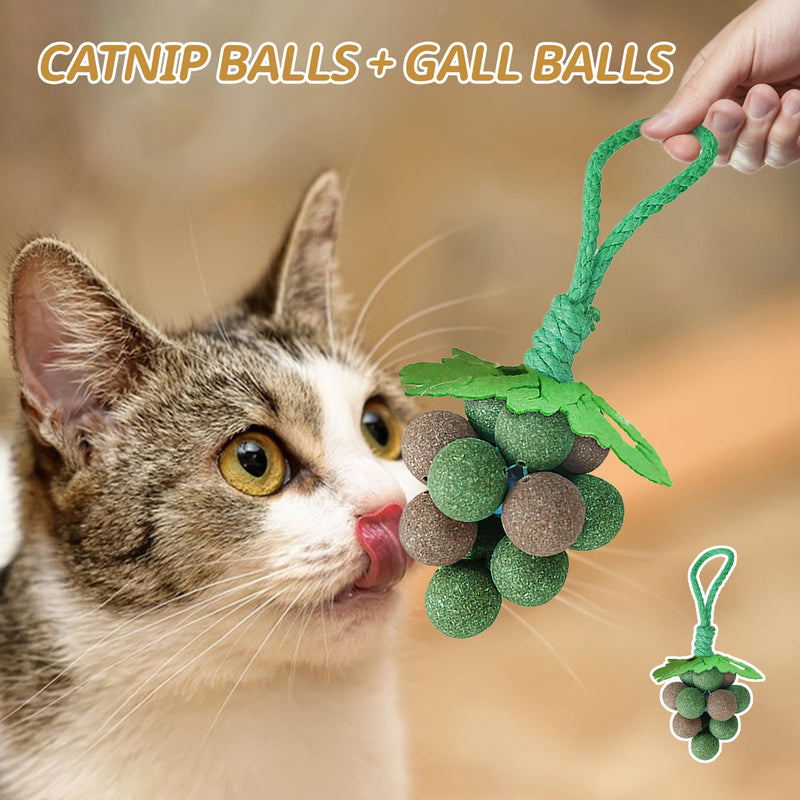 PAKESI Catnip Toys Balls,Set of 9 Catnip Balls and 4 Bug Berry Balls,Teeth Cleaning Cat Bite Toy, Cat Wall Treats, Interactive Cat Toys for Hours of Play - PawsPlanet Australia