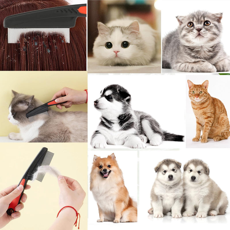2 sets of 4 flea comb dogs, flea comb for cats, flea comb dog, cat flea comb, cat comb, nit comb, dog brush lice comb nit comb for cats and dogs flea comb for removing fleas - PawsPlanet Australia