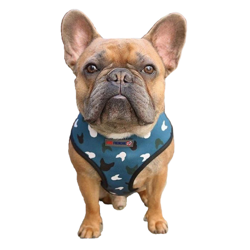 Love Frenchie - French Bulldog Reversible Harness (Medium, Blue La La) Medium - PawsPlanet Australia