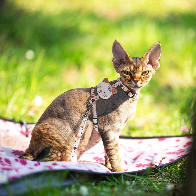 [Australia] - Cat Harness and Leash Set for Walking Escape Proof - Adjustable Pet Harness Soft for Kitten and Small Dogs Bunny Guinea Pig Rabbit Lightweight Outdoor Easy Control Breathable Not Collect Hairs Beige Cookies 