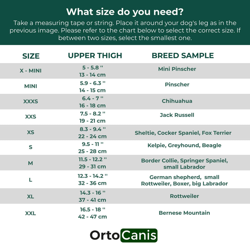 Ortocanis - knee support for dogs with cruciate ligament injuries, patellar luxation or osteoarthritis, size XXS, left leg size XX-Small - PawsPlanet Australia