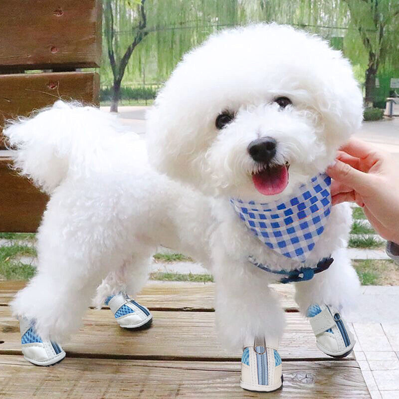 8Pcs Dog Boots, Breathable Puppy Dog Booties, Non Slip Dog Hiking Boots Shoes for Small Medium Large Dogs, Durable Puppy Dog Rain Boots Snow Shoes, Dog shoes Doggie Boots for Medium Size Dogs - PawsPlanet Australia