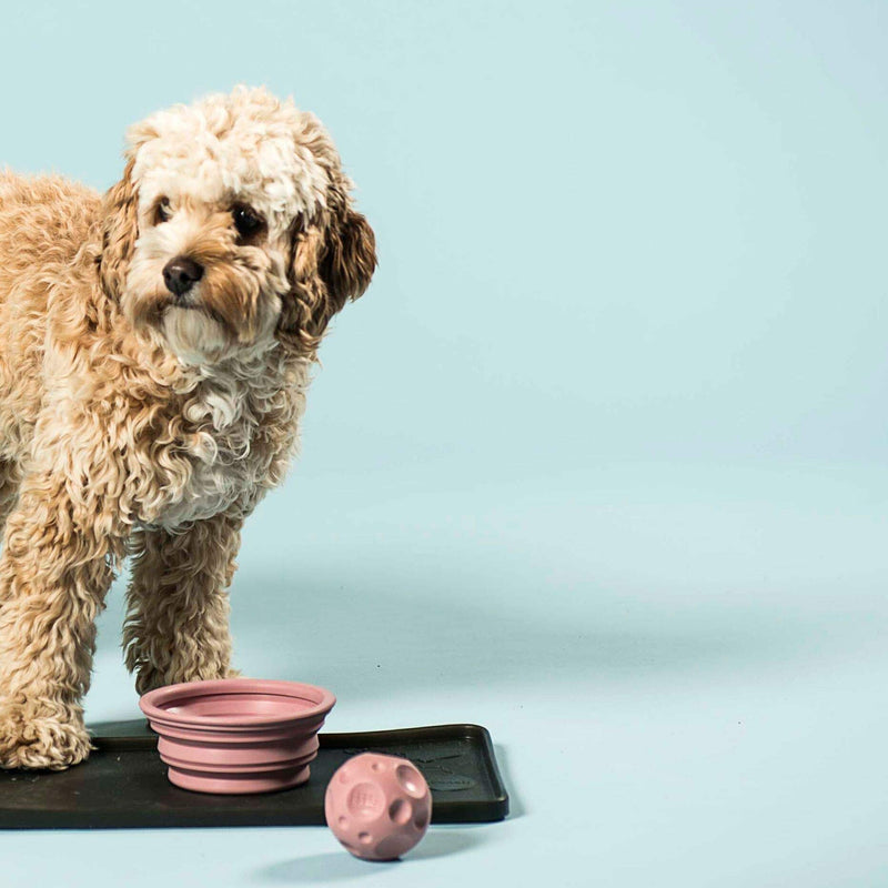 [Australia] - HEVEA Bowl on The go for Dogs, Foldable, Collapsible Water Bowl for Dogs. Made from Non-Toxic, Plastic-Free, BPA-Free and PVC-Free Natural Rubber. Old Rose Holds 10oz. 
