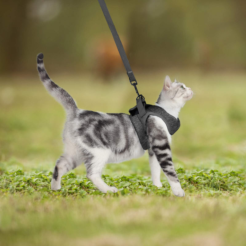 WD&CD Cat Harness and Leash Set, Escape Proof Cat Harness Adjustable Soft Cat Walking Jackets with Retractable Cat Leash For Pet Puppy, Large Grey - PawsPlanet Australia