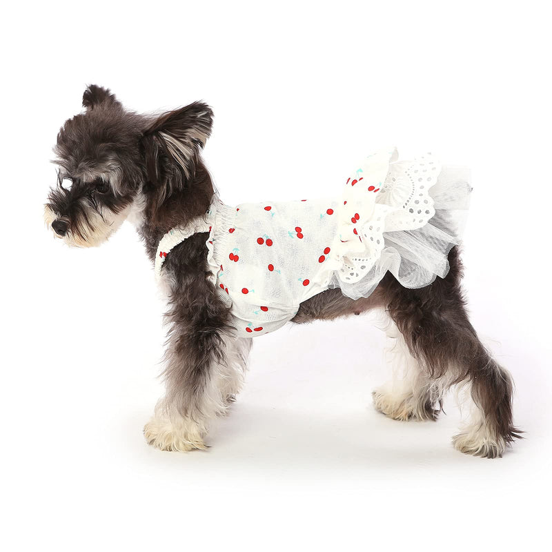 CuteBone Cherry Dog Dress Summer for Small Girl Cat Clothes XX-Small Berry skirt - PawsPlanet Australia