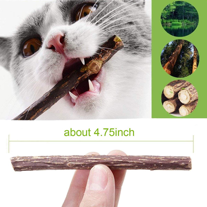 ECOSCO Cat Chew Catnip Toys Plant Healthy Snacks Natural Silvervine Sticks,Kittens Teeth Cleaning Molar Tools Bite Organic Sticks,Kitty Treat Chew Wood Stick Toys, 50 Pieces (50 Pieces) - PawsPlanet Australia