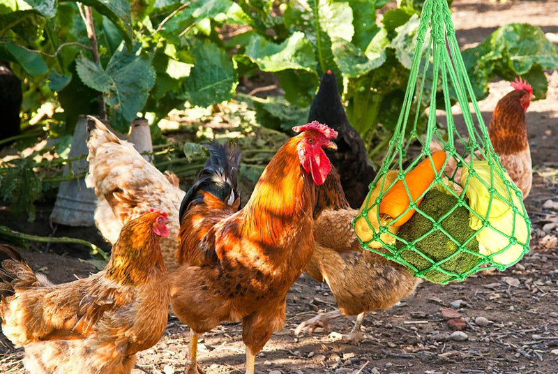 CooShou Chicken Vegetable String Bag Poultry Fruit Holder Chicken Cabbage Feeder Treat Feeding Tool with Hook for Hens Chicken Coop Toy for Hen Goose Duck - PawsPlanet Australia