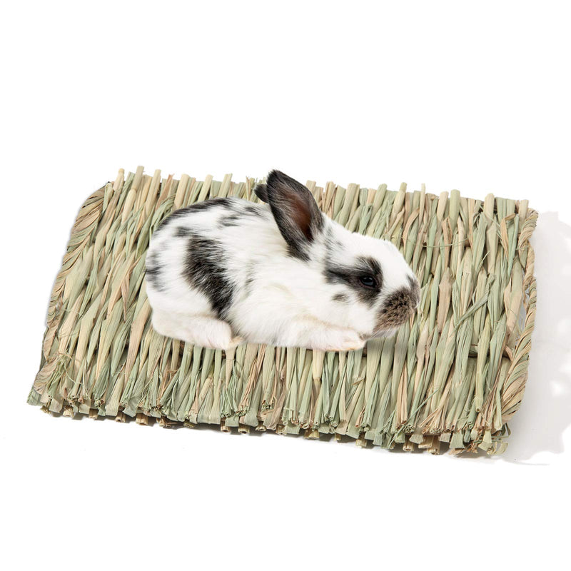 Anyuxin Rabbit Grass Mat - Woven Bed Mat, Bunny Bedding for Small Animals, Natural Straw Woven Bed for Pet Nesting, Nature Hay Mat Chewing Play Toy for Guinea Pig, Hamster, Squirrel and More（3 Pack） - PawsPlanet Australia