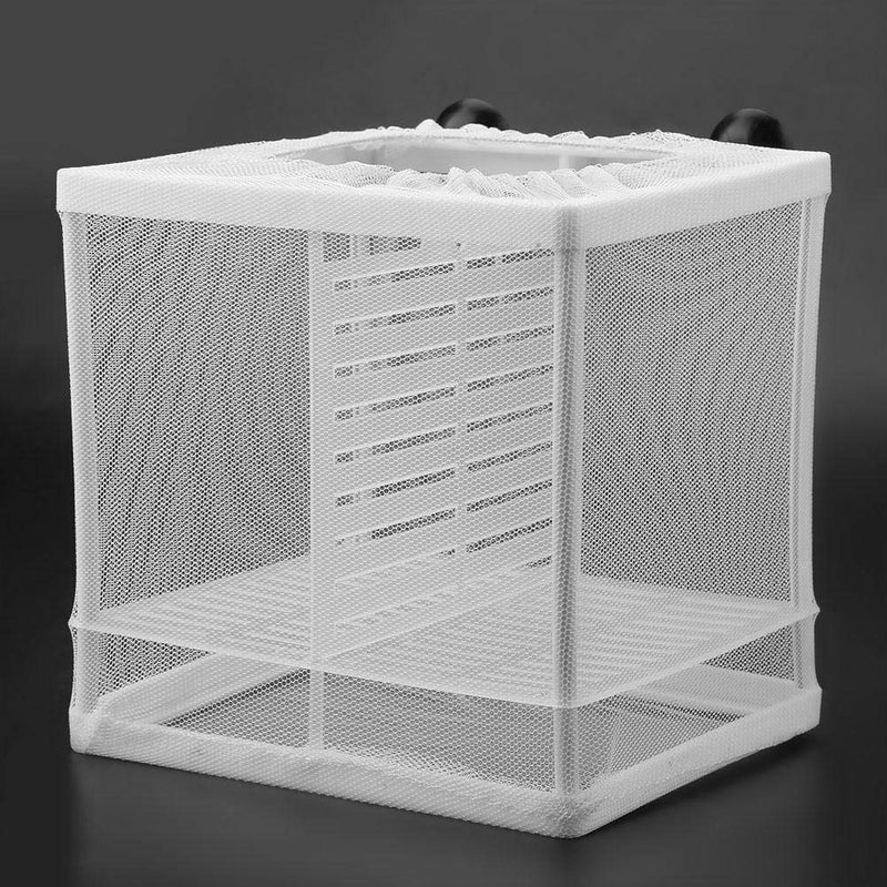 Fish Incubator Mesh Box Fish Tank Isolation Box Fish Breeder Net Fry Hatchery Incubator with Suction Cup Isolation Board - PawsPlanet Australia