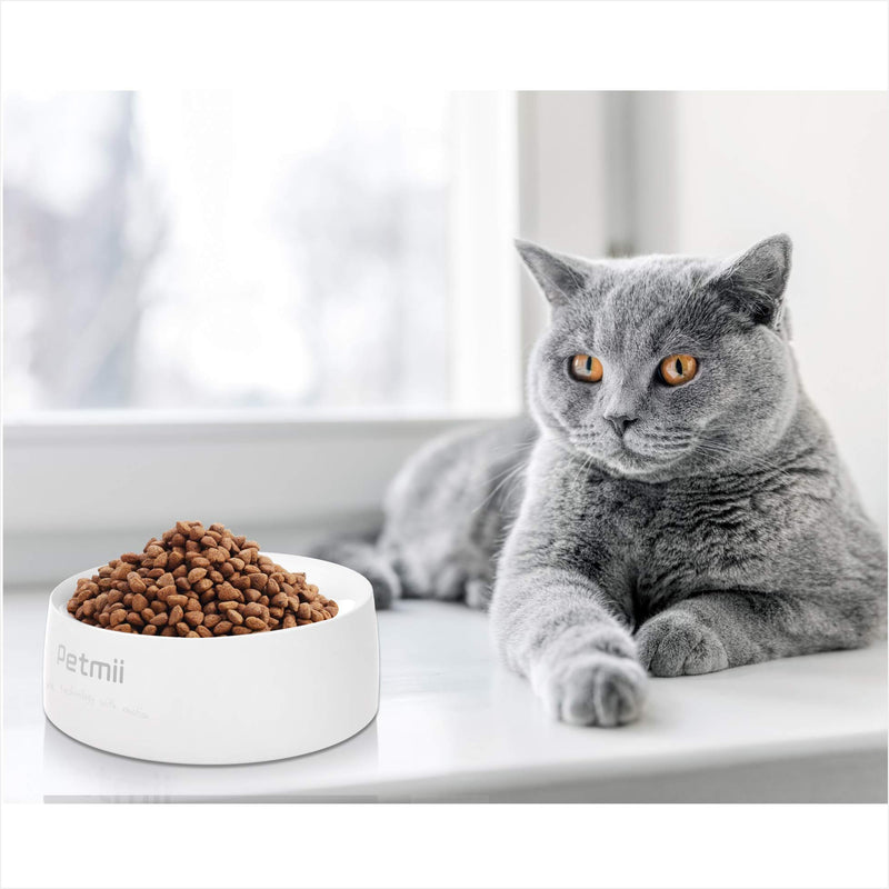 [Australia] - Petmii Smart Digital Feeding Pet Bowl, Food Measuring Washable for Dog Cat Food Bowl feeding bowl with digital scale 