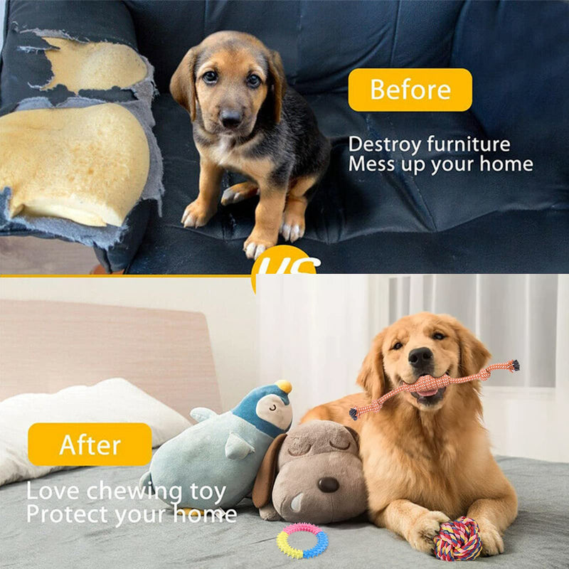 12 Pcs Dog Rope Toys Set, Durable Dog Rope Toys for Small Pets Dogs, Puppy Toys Set Dog Chew Toys for Interactive, Teething Training, Relieve Boredom and Stress for Small Medium Large Dogs - PawsPlanet Australia
