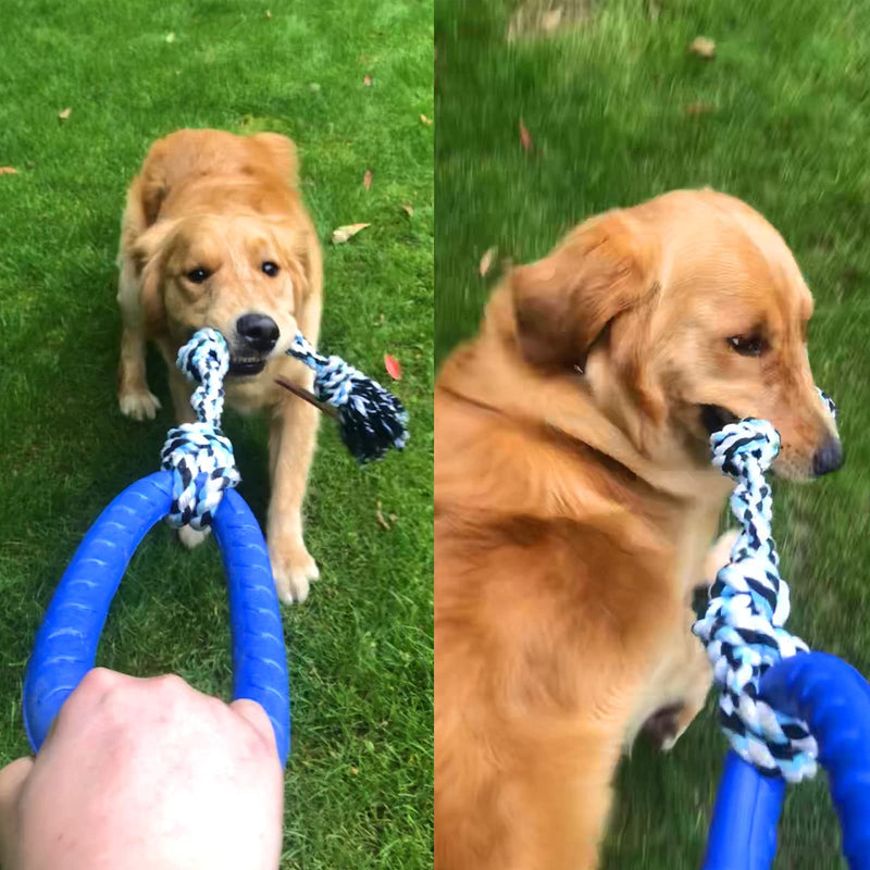 PMLAAK Dog Rope Toys for Medium-Large Dogs 2-in-1 Dog Tug Toys Ring Toy Outdoor Dog Toys for Aggressive Chewers Tough Dog Toys Puppy Teething Chew Toy Blue - PawsPlanet Australia