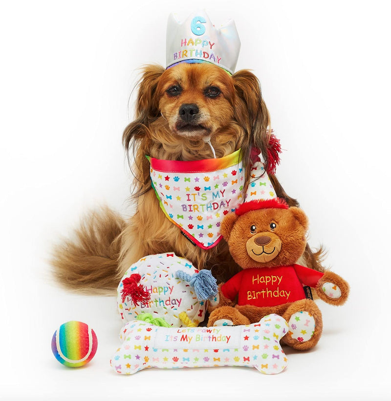 Dog Birthday Gift Box 6-Piece Hamper Present set, Perfect Dogs Happy Bday Celebration, includes Toys, Hat and Bandana (Small) Small - PawsPlanet Australia