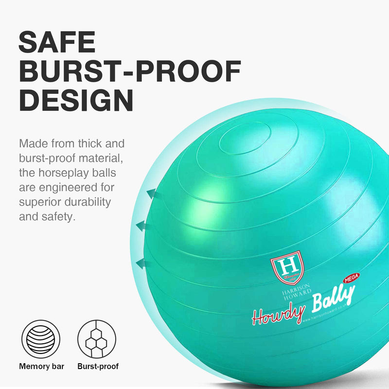 Harrison Howard Mega Horse Play Ball Anti-Burst Giant Horse Ball Horse Soccer Ball 25 Inch-Turquoise - PawsPlanet Australia