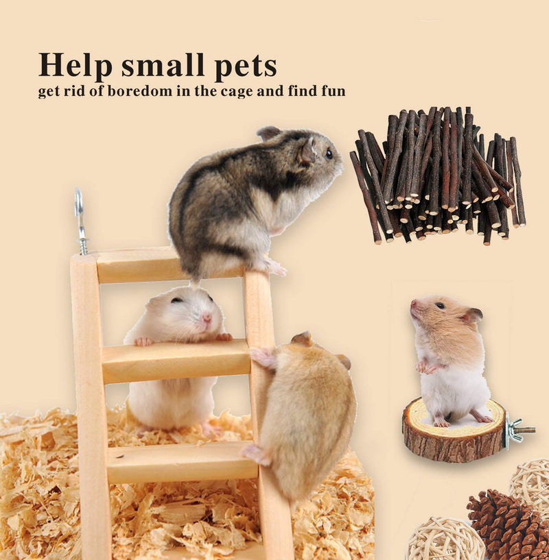 SUSYEE 14 Pcs Hamster Chew Toys Apple Wooden Dumbells Exercise Bell Roller Teeth Care Molar Toys Suitable for Rat Chinchilla Guinea Pig Rabbits Toys A - PawsPlanet Australia